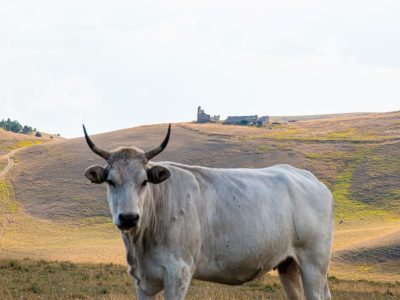 Trekking_CampoImperatore_Tramonto-72