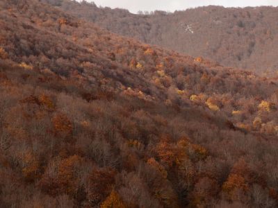 Trekking_Cappucciata_30ott25-22