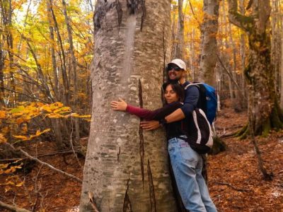 bosco autunno il bosso maiella abruzzo
