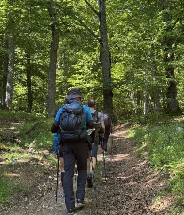 cappucciata3-768x1024