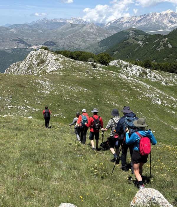 cappucciata9-605x806