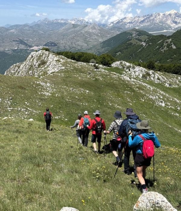 cappucciata9-605x806