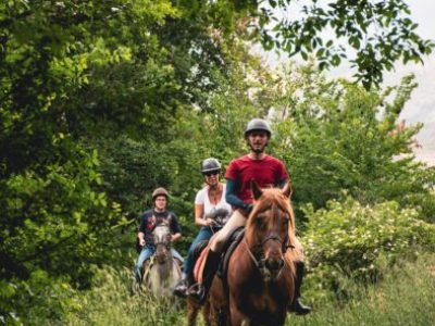 cavallo-tirino-5_web-394x303