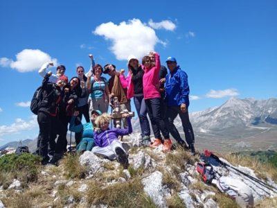 monte meta 6