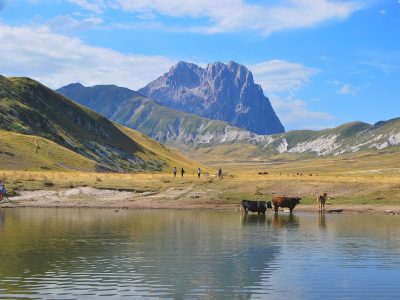 mountains-6187994_1280 (1)