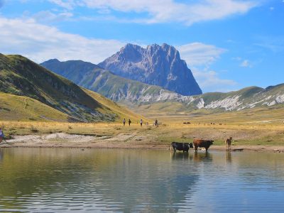 mountains-6187994_1280 (1)