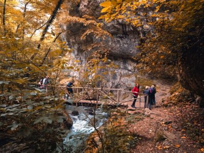 orfento autunno 2