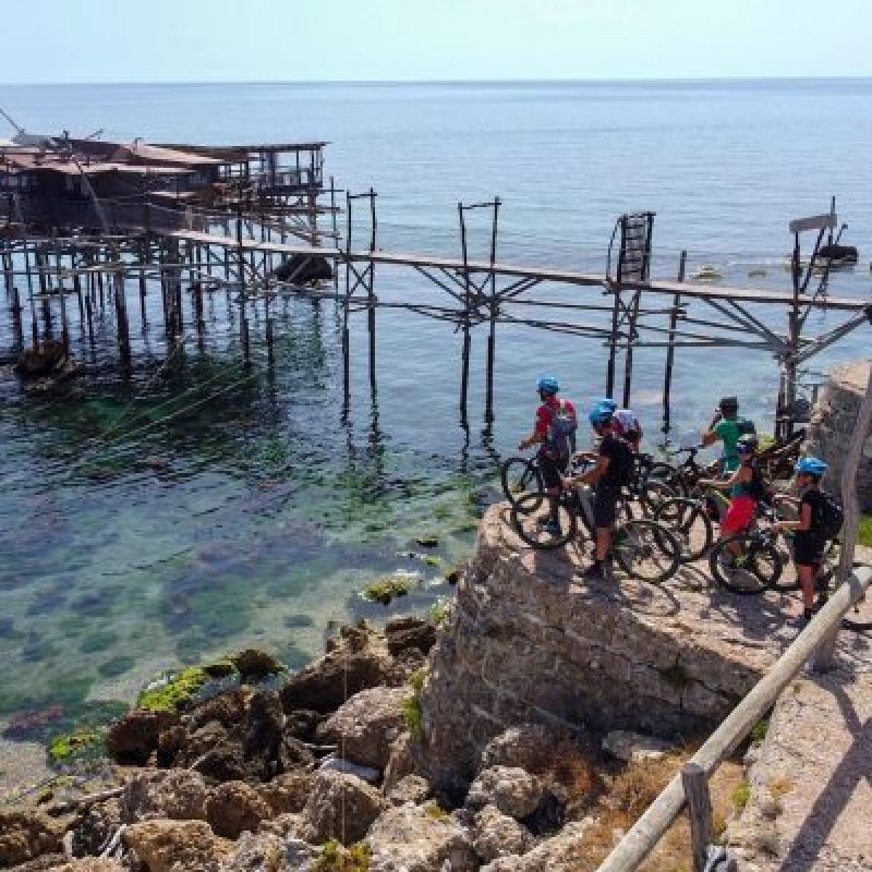 trabike-copertina2022-sito (1)