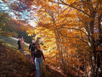 trekking autunno bosco mileto il bosso maiella
