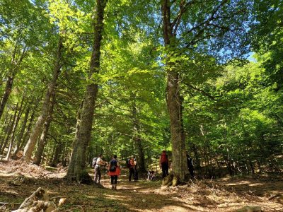 trekking il bosso_bosco