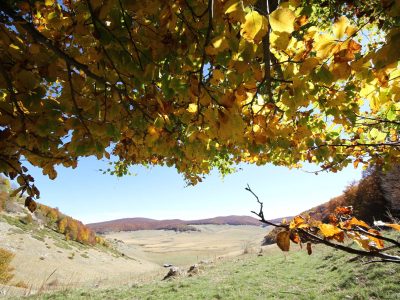 voltigno autunno il bosso abruzzo